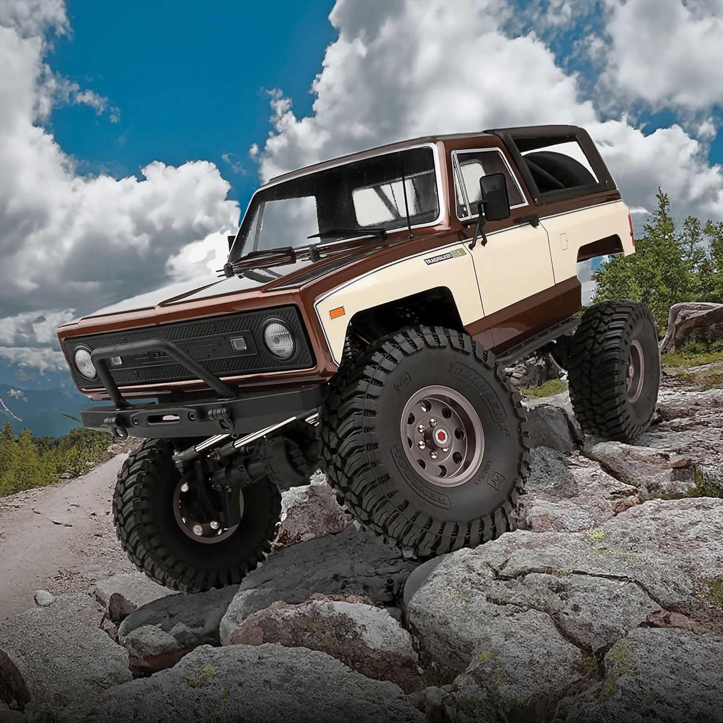Team Associated Enduro Trailwalker 4WD 1/10 Ready to Run Trail Truck with LiPo Combo