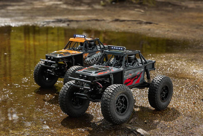 FMS FCX24 Lemur 1/24 Scale 4WD Brushed Rock Racer Ready-to-Run with 2-Speed Transmission