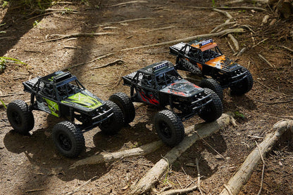 FMS FCX24 Lemur 1/24 Scale 4WD Brushed Rock Racer Ready-to-Run with 2-Speed Transmission