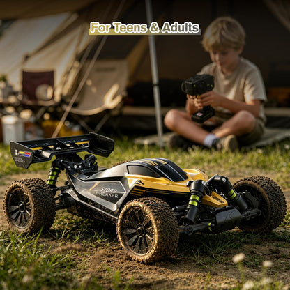 RLAARLO 1/10 4WD Brushless RC Buggy RTR – 50+ MPH